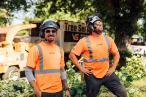 VS Tree Services in Ottawa and Kemptville